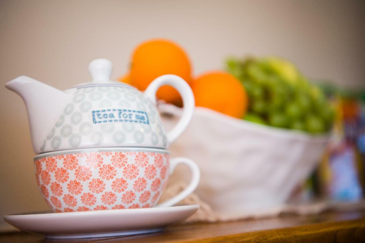 Y Grange Bed and Breakfast Llanfihangel-y-Creuddyn Εξωτερικό φωτογραφία