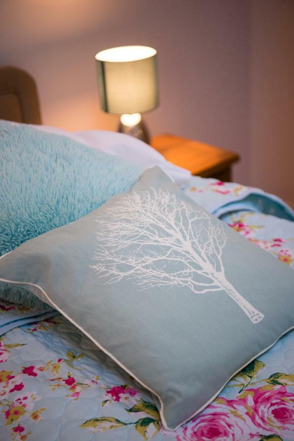 Y Grange Bed and Breakfast Llanfihangel-y-Creuddyn Εξωτερικό φωτογραφία